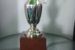 AAA-Cup-2015-1