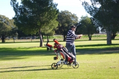 A-Delicate-approach-Steve-Bate-comp