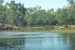 Looking-to-4th-Fairway