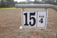 Golf-Ball-on-Sign